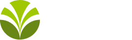 olam